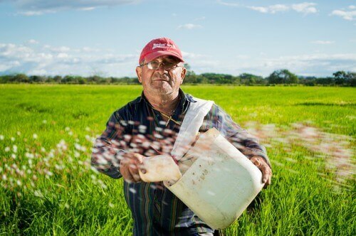 Applying Fertilizer