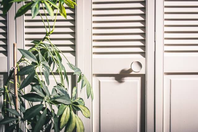 Louvered doors