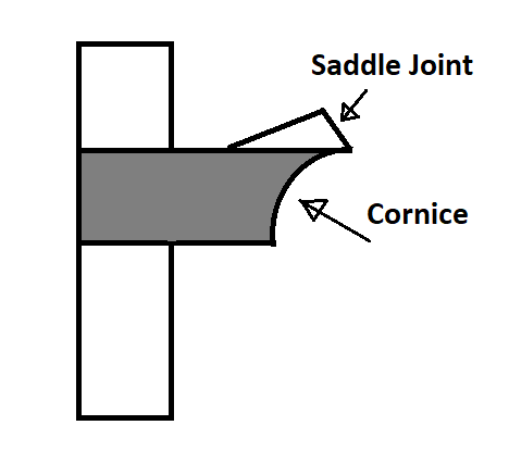 Saddle Joint