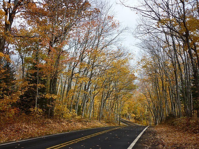 Rules for Roadside Tree Planting - Spacing, arrangement & Location