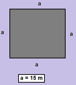 Square Plot or Land