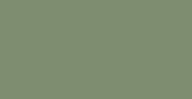 Sage Green Paint Color - Chamber Green