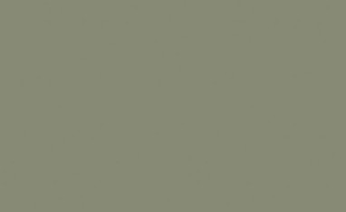 Sage Green Paint Color - DKC-26