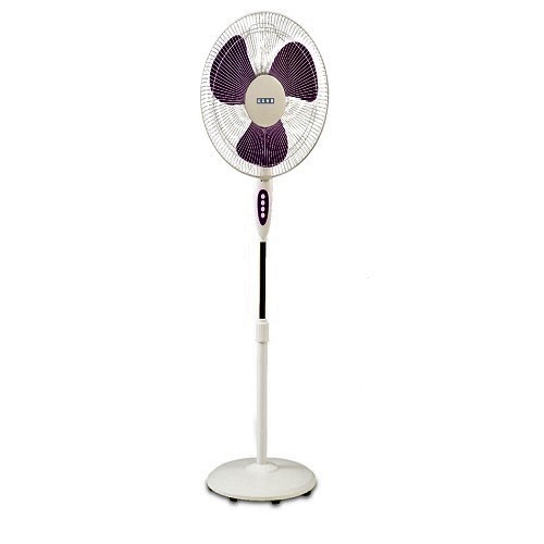 Pedestal Fans