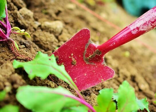  Tree Planting Shovel